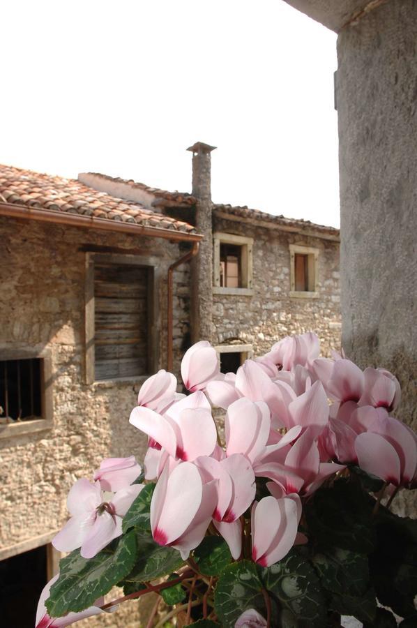 Albergo Diffuso Valcellina E Val Vajont In Erto Buitenkant foto